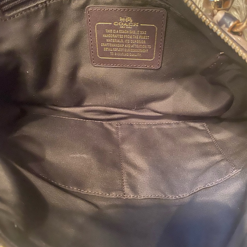 Coach Kelsey Satchel  Metallic Platinum/Gold Leather Bag with Reptile Trim - Picture 5 of 14